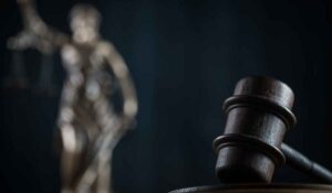 Leia mais sobre o artigo Artigo 2